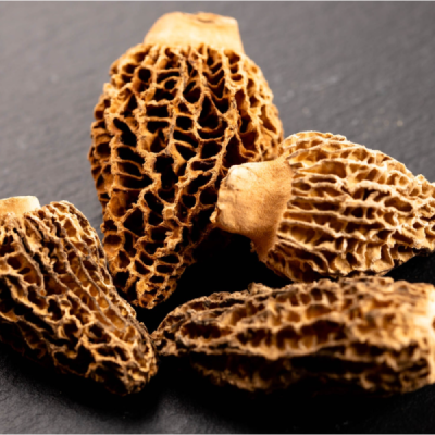 Morilles lyophilisées 6g - Pour les gastronomes | Champivie