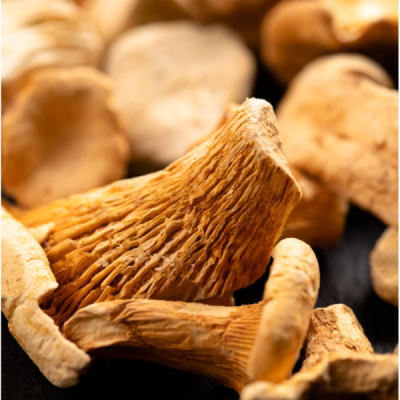 Mélange champignons lyophilisés forestier 6g | Champivie
