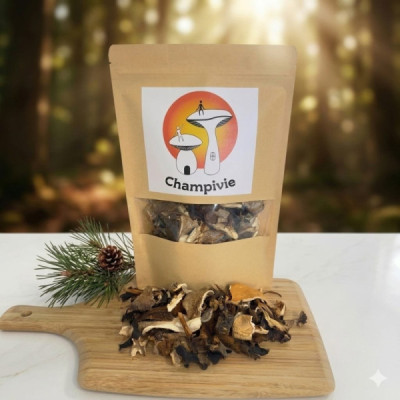 Mélange Forestier Séché 30g – Champignons des Bois Découverte