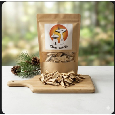 Shiitaké en Lamelles Séchées Premium 40g – Format Découverte