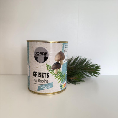 Grisets des sapins
