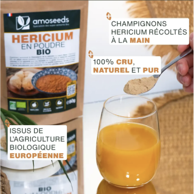 Hericium en Poudre Bio 50g – Crinière de Lion | Champivie