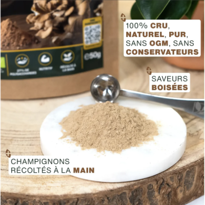 Maïtaké en Poudre Bio 50g – Grifola frondosa | Champivie