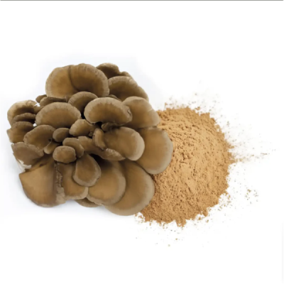 Maïtaké en Poudre Bio 50g – Grifola frondosa | Champivie