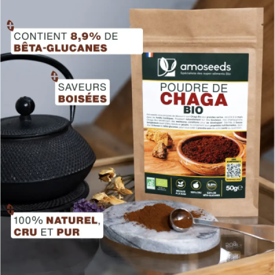 Poudre de Chaga Bio 50g – Antioxydant Puissant | Champivie