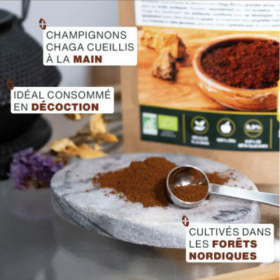 Poudre de Chaga Bio 50g – Antioxydant Puissant | Champivie