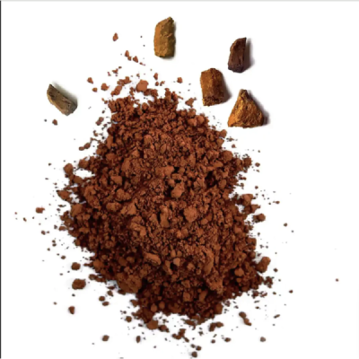 Poudre de Chaga Bio 50g – Antioxydant Puissant | Champivie