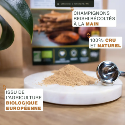 Reishi en Poudre Bio 50g – Champignon de l'Immortalité