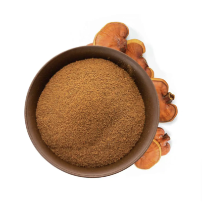 Reishi en Poudre Bio 50g – Champignon de l'Immortalité