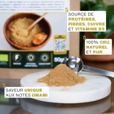 Shiitaké en Poudre Bio 50g – Lentinula edodes | Champivie