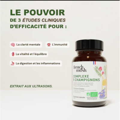 Complexe 5 Champignons Bio – Synergie Adaptogène | Champivie