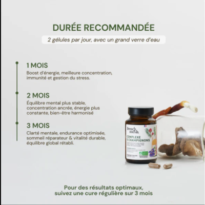 Complexe 5 Champignons Bio – Synergie Adaptogène | Champivie