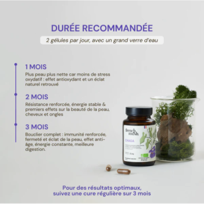 Gélules Chaga Bio – Inonotus obliquus Antioxydant | Champivie