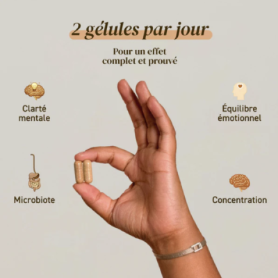 Gélules Lion's Mane Bio – Hericium Erinaceus | Champivie