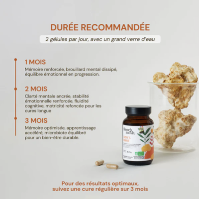 Gélules Lion's Mane Bio – Hericium Erinaceus | Champivie