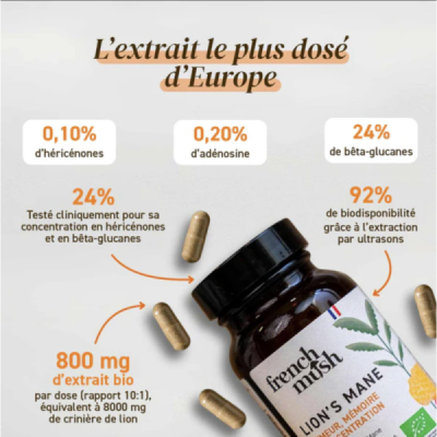 Gélules Lion's Mane Bio – Hericium Erinaceus | Champivie