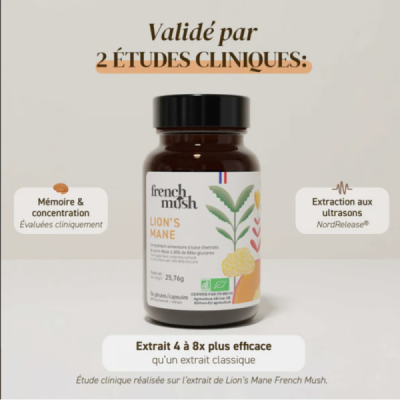 Gélules Lion's Mane Bio – Hericium Erinaceus | Champivie