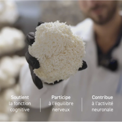 Gélules Lion's Mane Bio – Hericium Erinaceus | Champivie