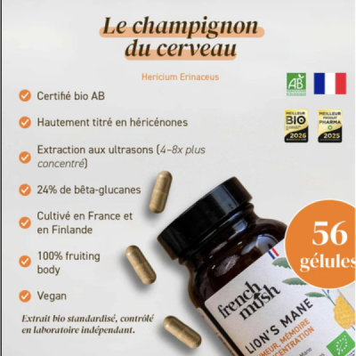 Gélules Lion's Mane Bio – Hericium Erinaceus | Champivie