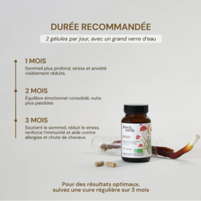 Gélules Reishi Bio – Ganoderma lucidum Relaxation | Champivie