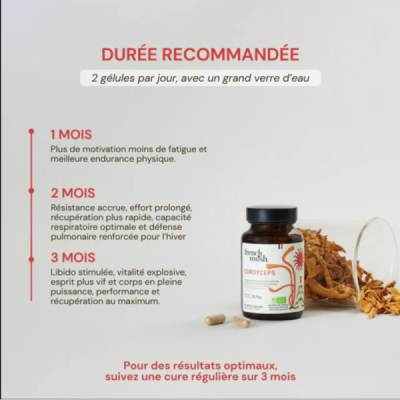 Gélules Cordyceps Bio – Énergie & Endurance Naturelle