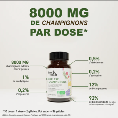 Pack Best Seller – Champignons Bio Incontournables | Champivie