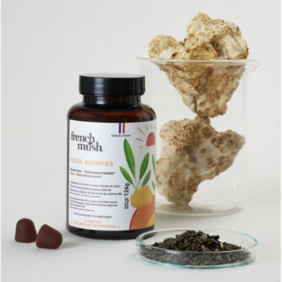 Pack Best Seller – Champignons Bio Incontournables | Champivie