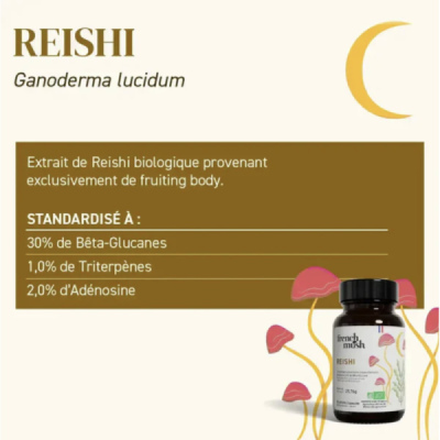 Pack Marathon – Cordyceps & Reishi Bio Endurance | Champivie