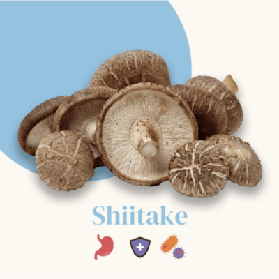 Pack Équilibre Hormonal – Reishi & Complexe 5 Champignons
