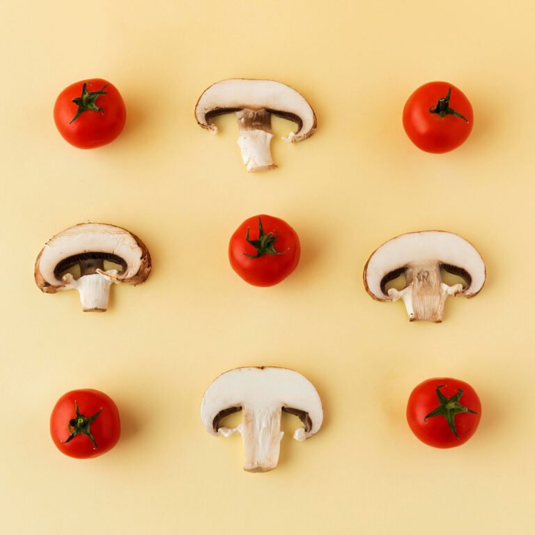 champignons fonctionnels