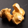 Girolles lyophilisées - 6 g