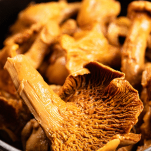 Les girolles au vinaigre