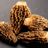 morilles Morilles lyophilisées - 6 g