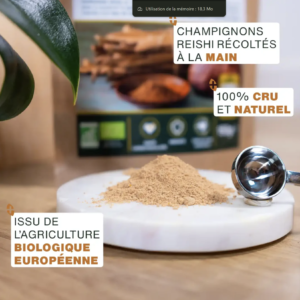 Reishi en Poudre Bio 50g