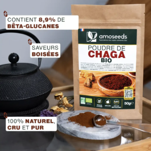 Poudre de Chaga Bio 50g