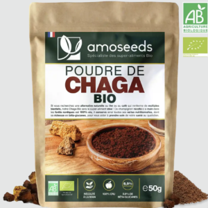 Poudre de Chaga Bio 50g