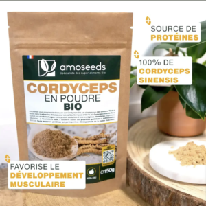 Cordyceps en Poudre Bio 50g