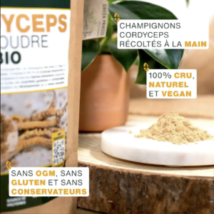 Cordyceps en Poudre Bio 50g