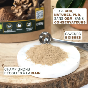 Maïtaké en poudre Bio 150G