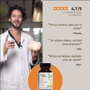 Gélules lion's mane