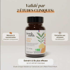 Gélules lion's mane