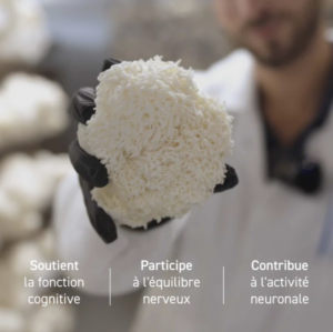 Gélules lion's mane