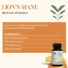 lions mane Lion's Mane : Soutien Naturel pour le TDA