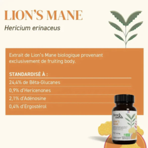 lions mane Lion's Mane : Soutien Naturel pour le TDA