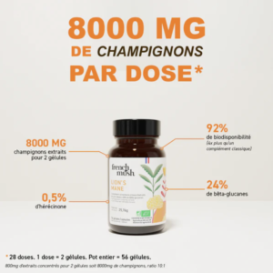 Gélules Lion's Mane : boostez votre concentration