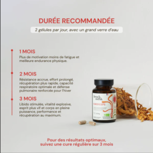 Gélules cordyceps
