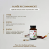 Gélules Reishi