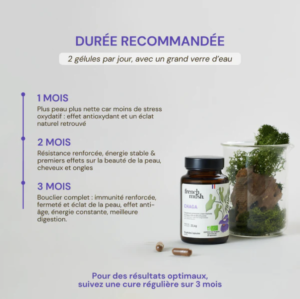 Gélules Chaga