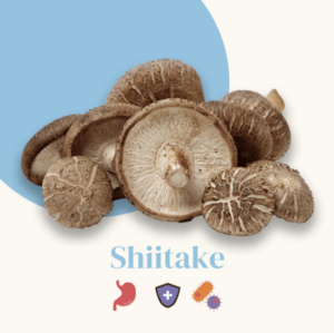 Complexe 5 Ménopause