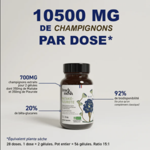 Duo Maïtake Pleurote